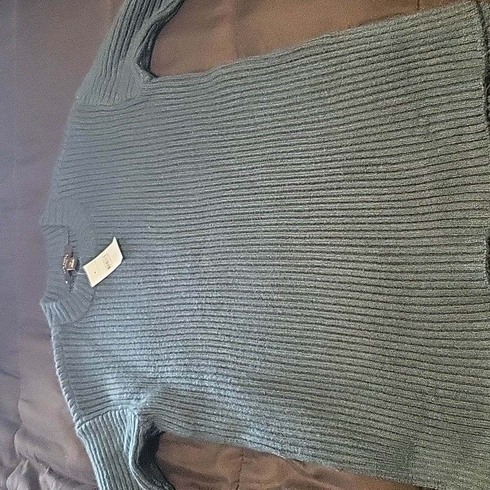 Ann Taylor Petite Sweater